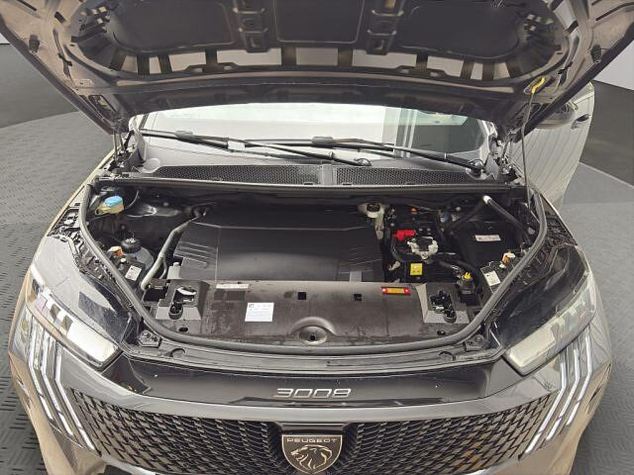 Peugeot Peugeot 3008 usata 17