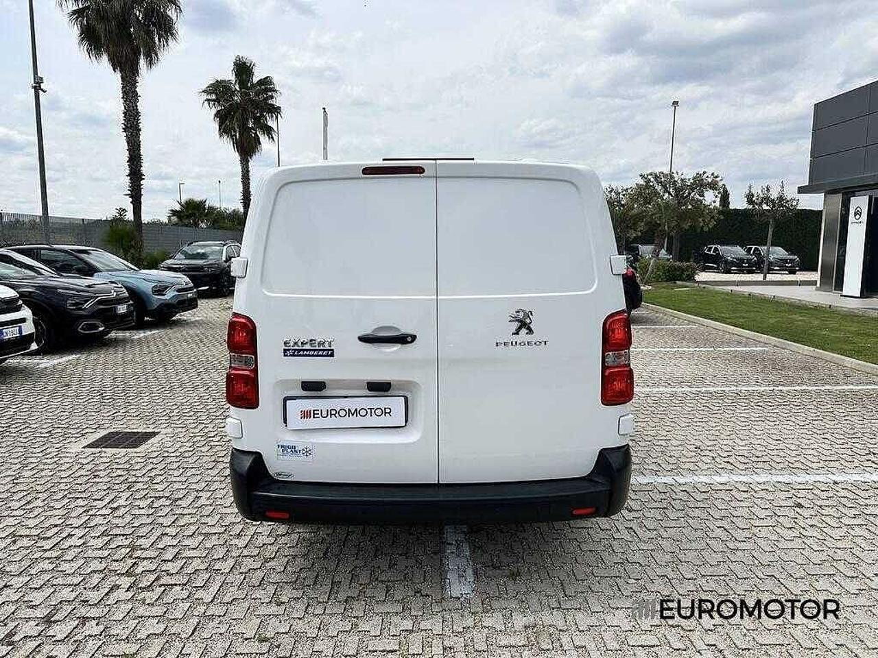 Peugeot Peugeot Expert usata 18
