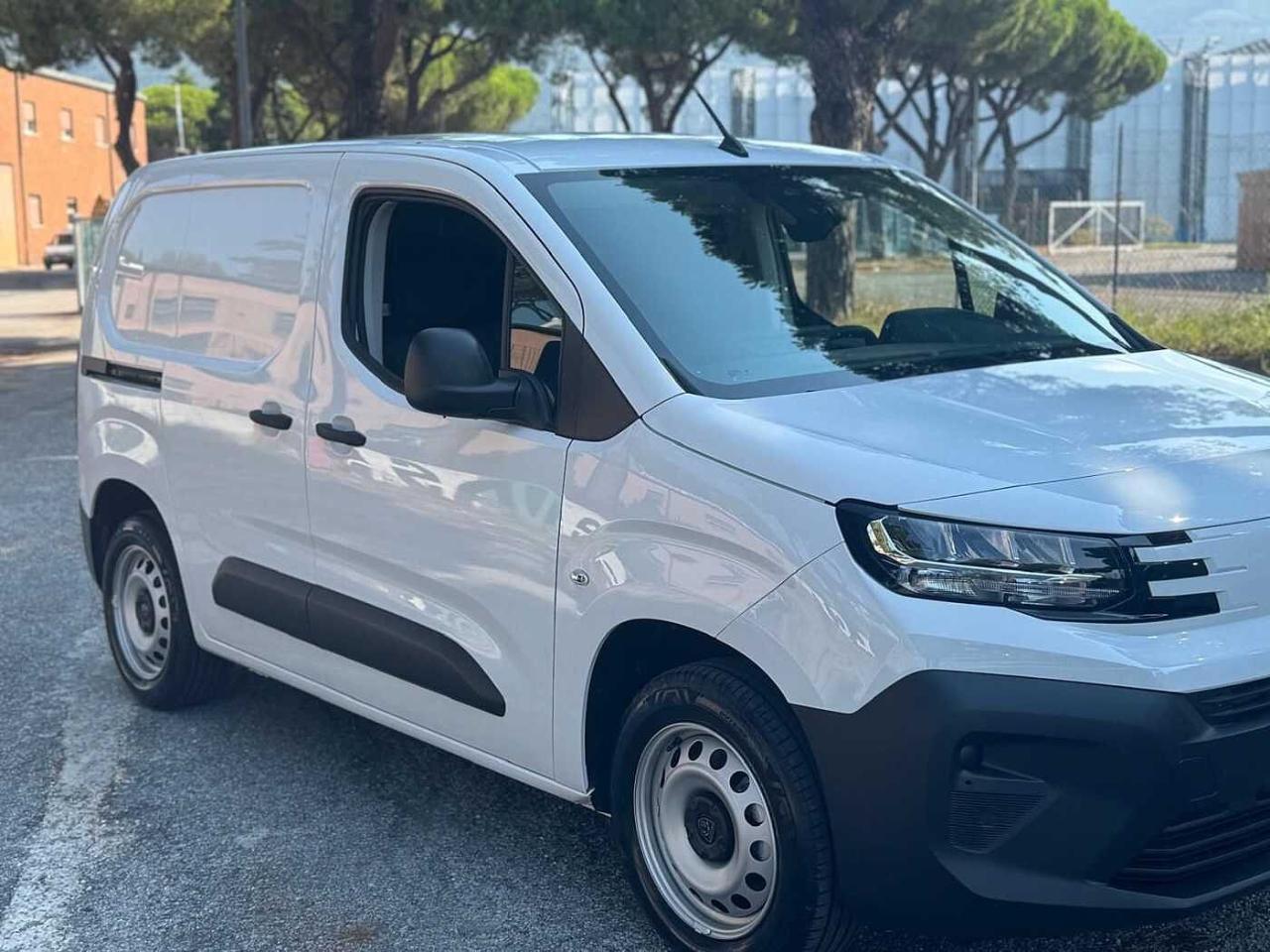 Peugeot Peugeot Partner usata 10