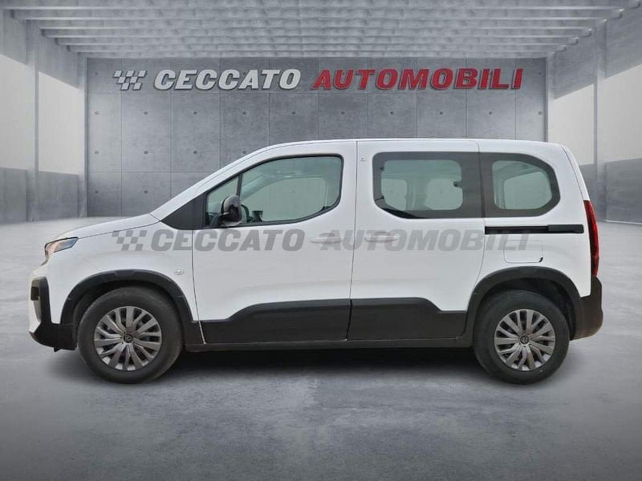 Peugeot Peugeot Rifter usata 11