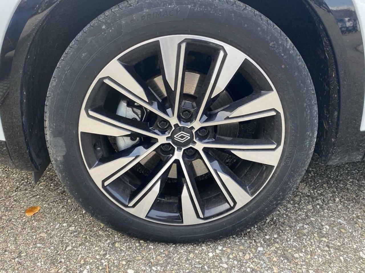 Renault Renault Austral usata 14