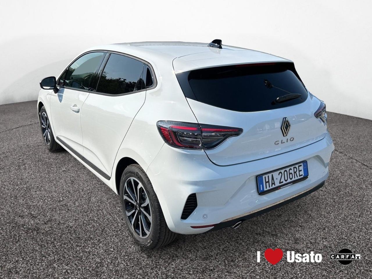Renault Renault Clio usata 14