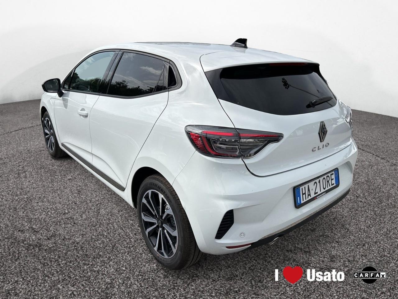 Renault Renault Clio usata 14