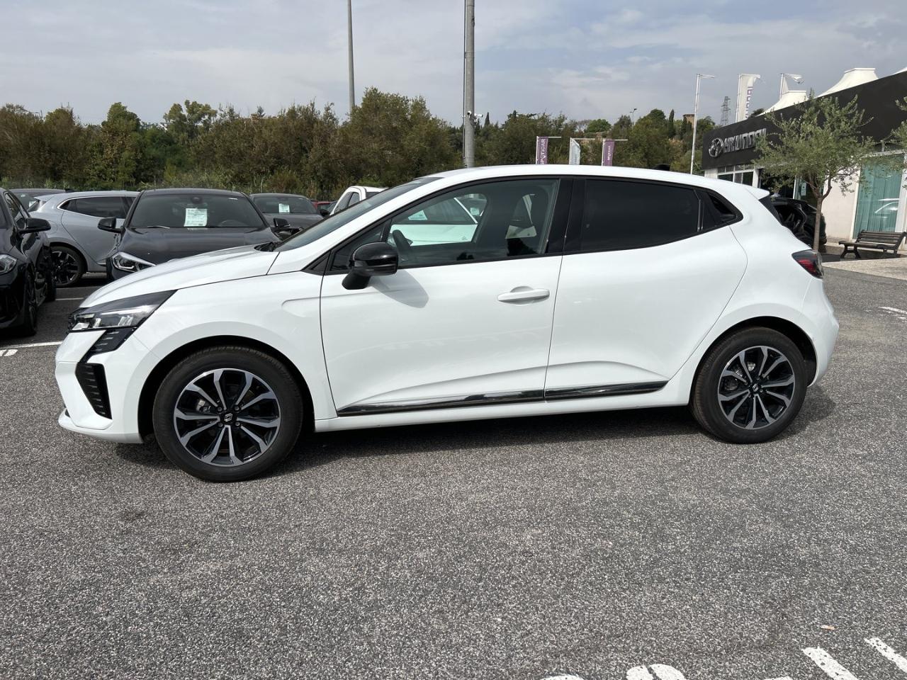 Renault Renault Clio usata 18