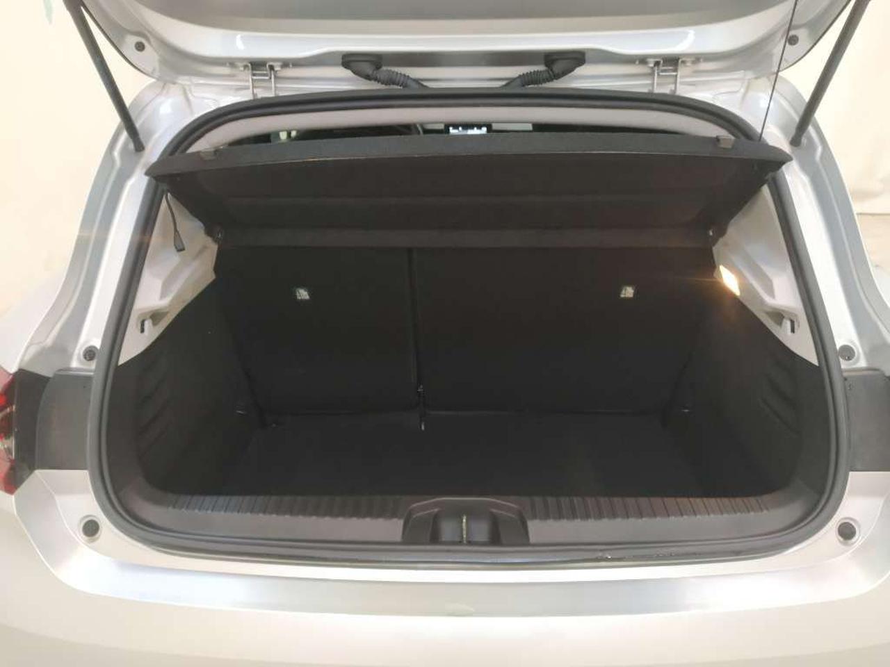 Renault Renault Clio usata 12