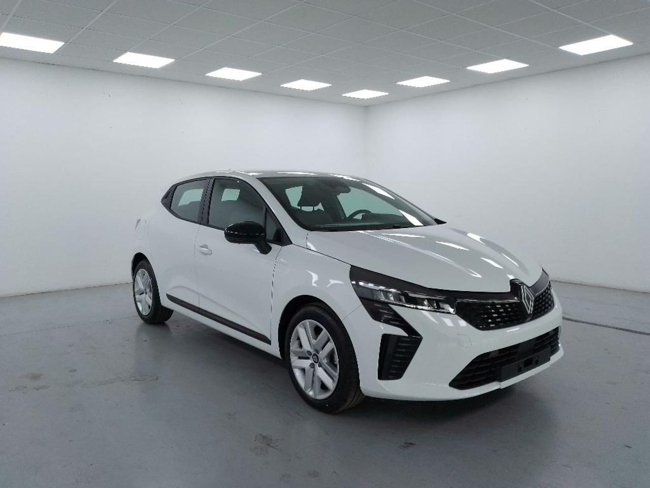 Renault Renault Clio usata 14