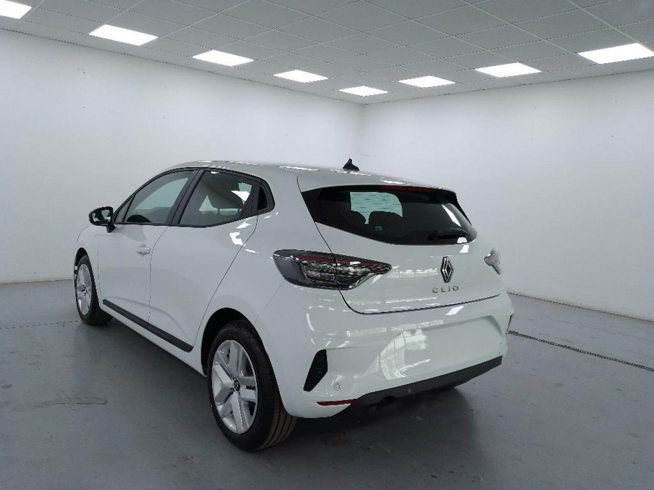 Renault Renault Clio usata 17