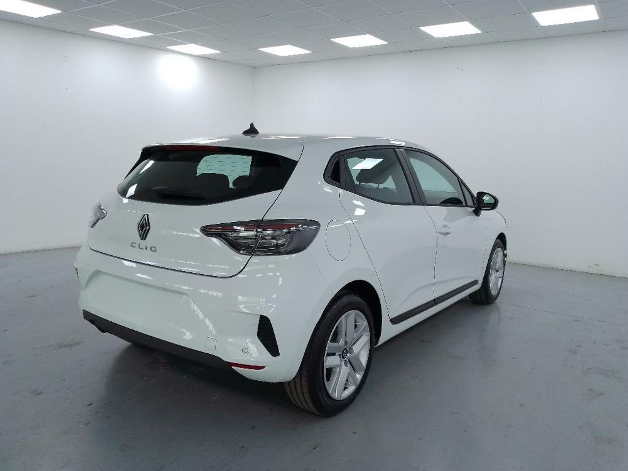 Renault Renault Clio usata 19