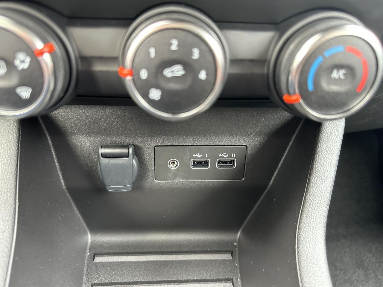 Renault Renault Clio usata 13