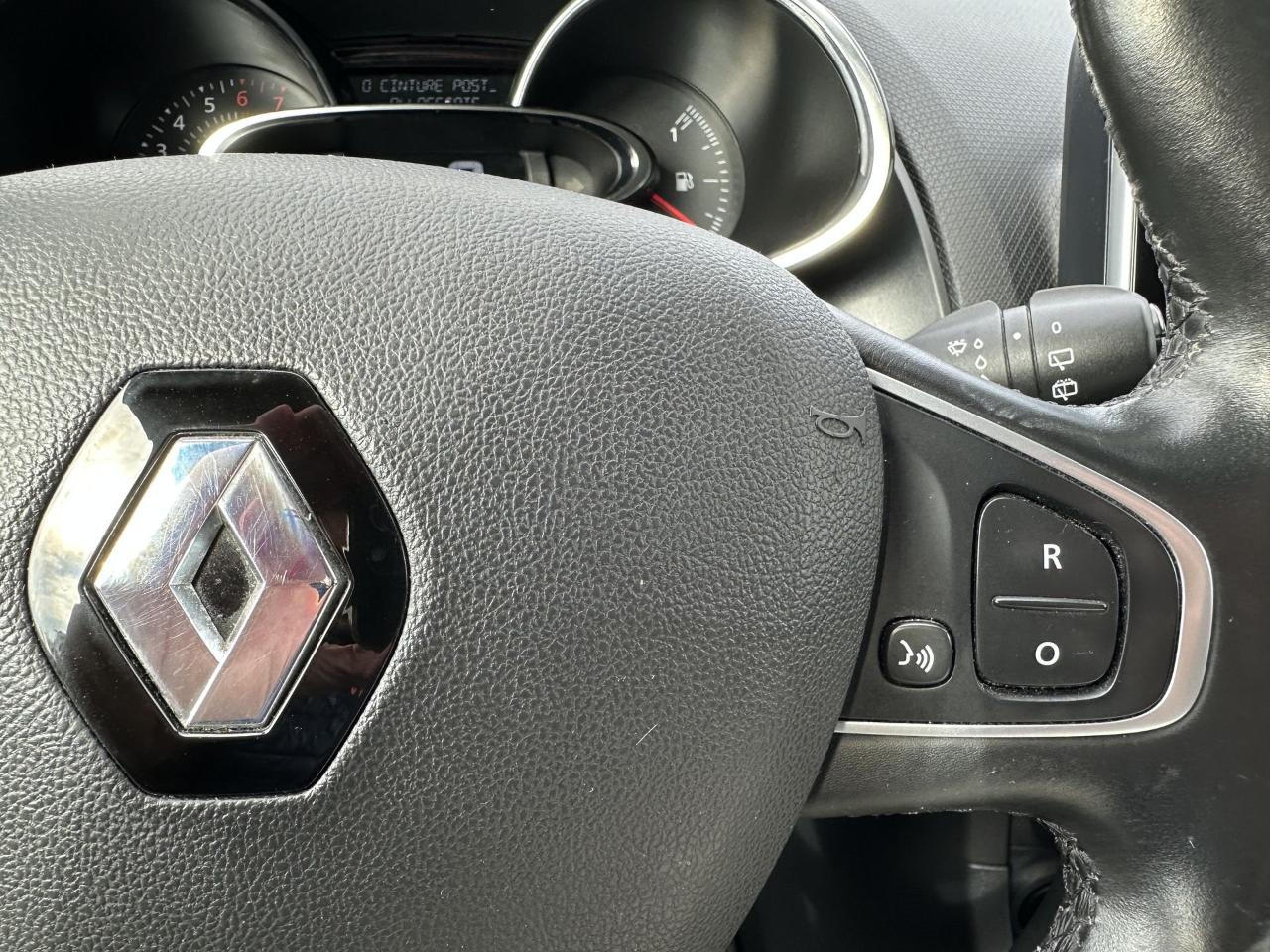 Renault Renault Clio usata, con park distance control