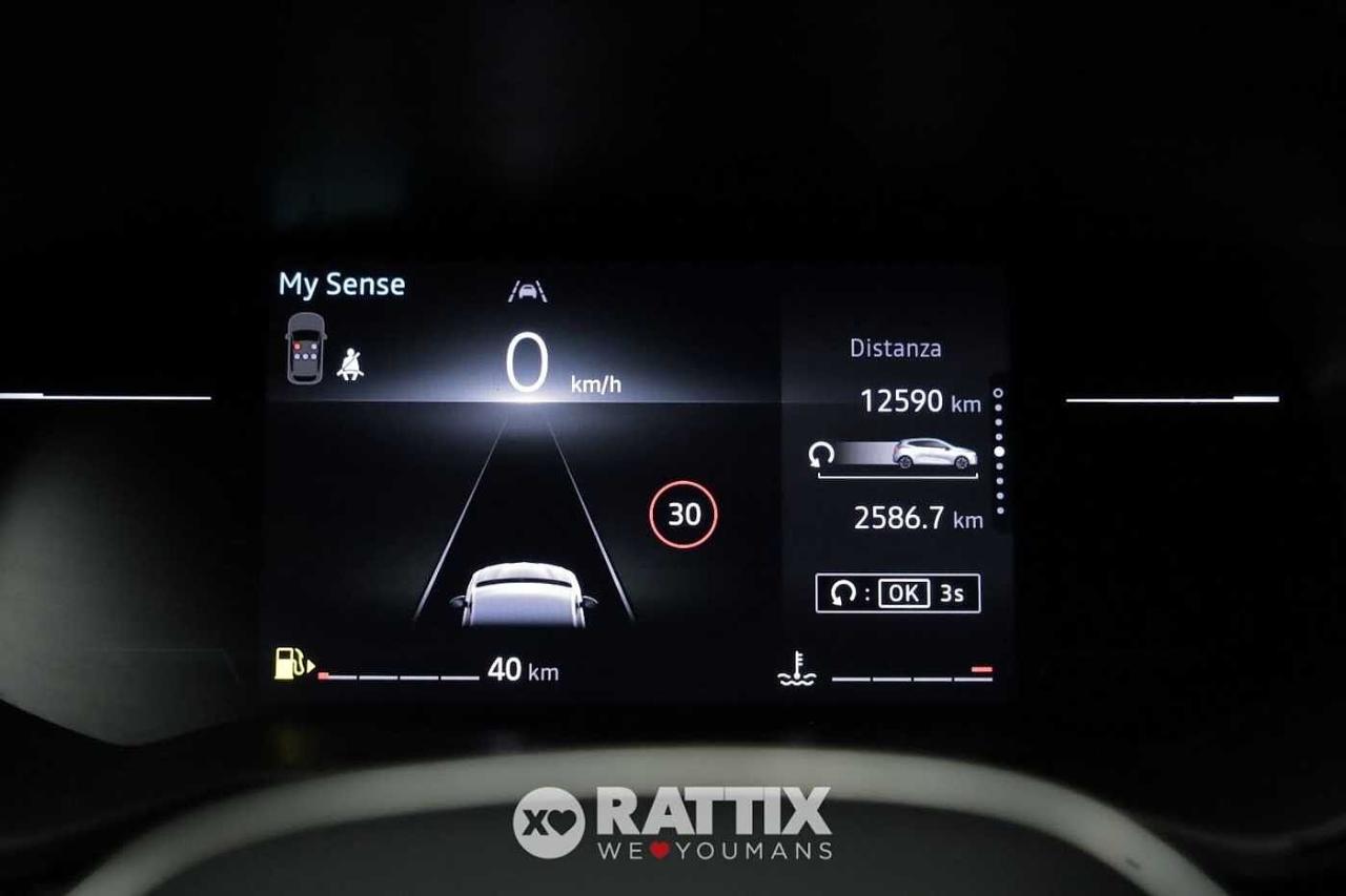 Renault Renault Clio usata 6