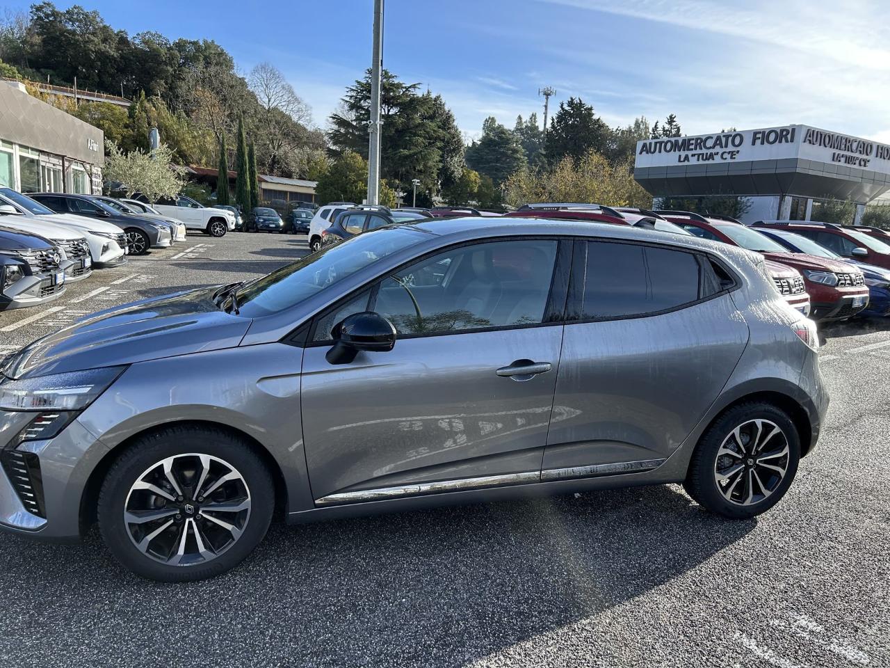 Renault Renault Clio usata 19