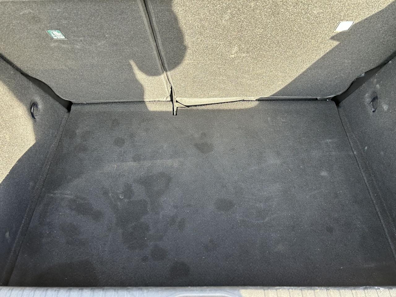 Renault Renault Clio usata 20