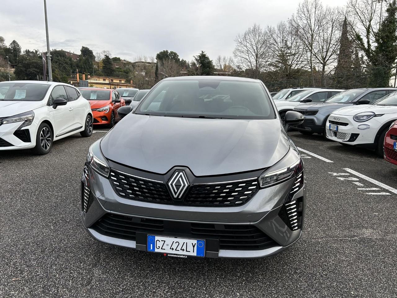 Renault Renault Clio usata 19