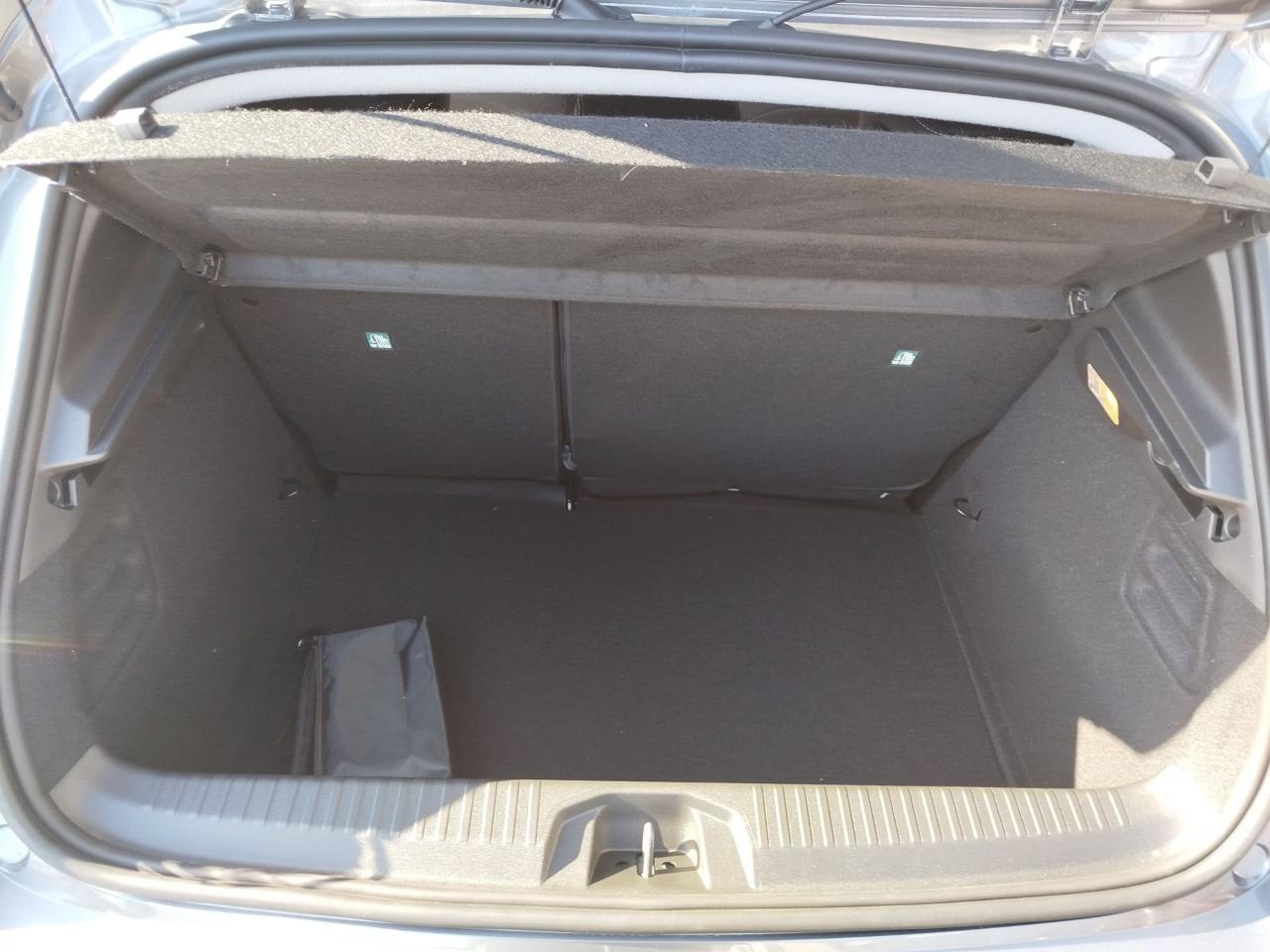 Renault Renault Clio usata 3