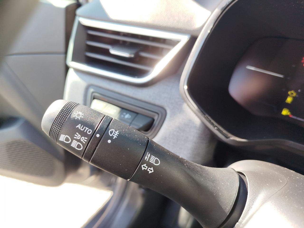 Renault Renault Clio usata 14