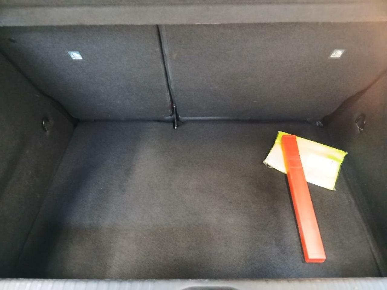 Renault Renault Clio usata 13