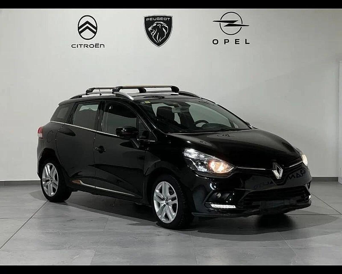Renault Renault Clio usata 19