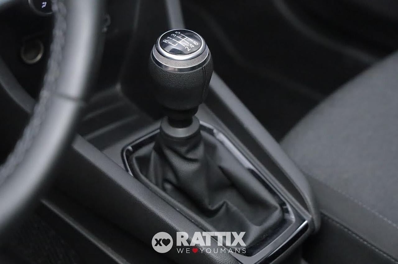 Renault Renault Clio usata 14