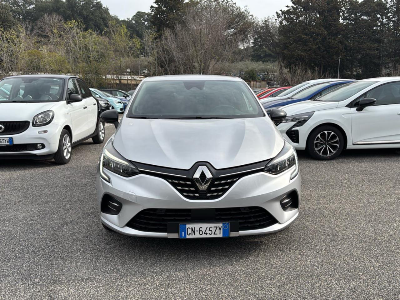 Renault Renault Clio usata 18