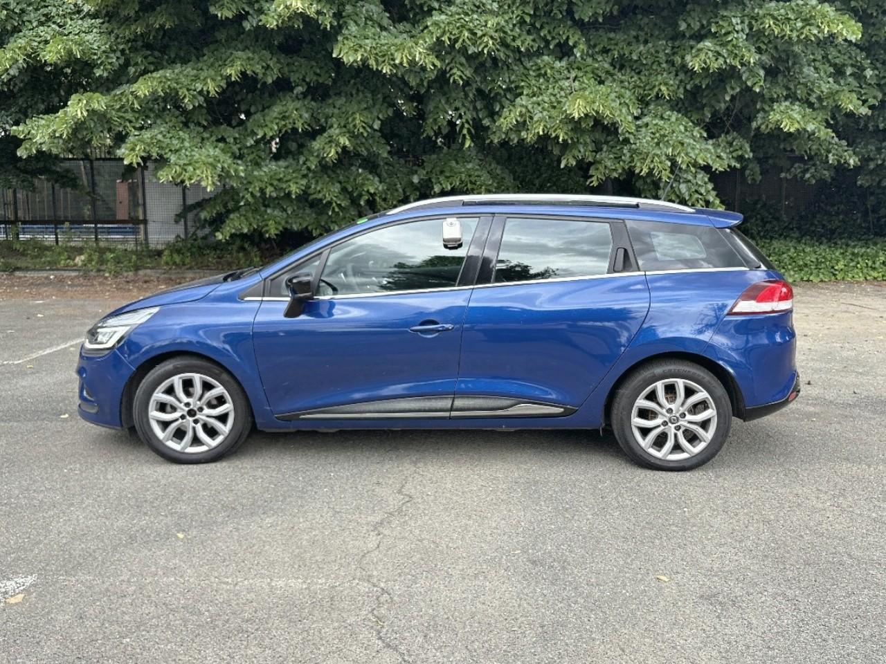 Renault Renault Clio usata 15