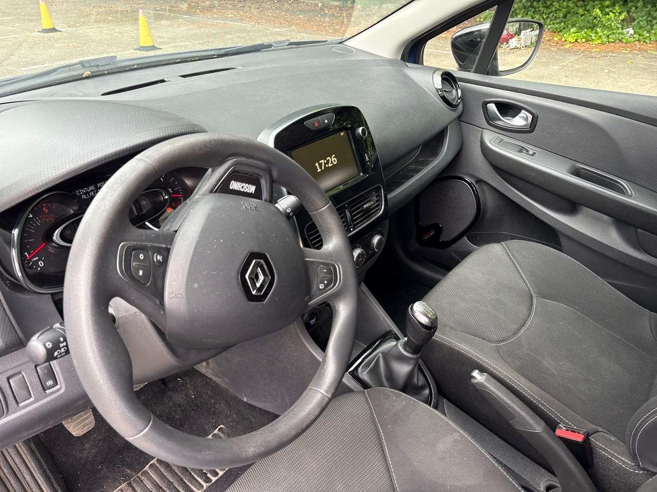 Renault Renault Clio usata 19