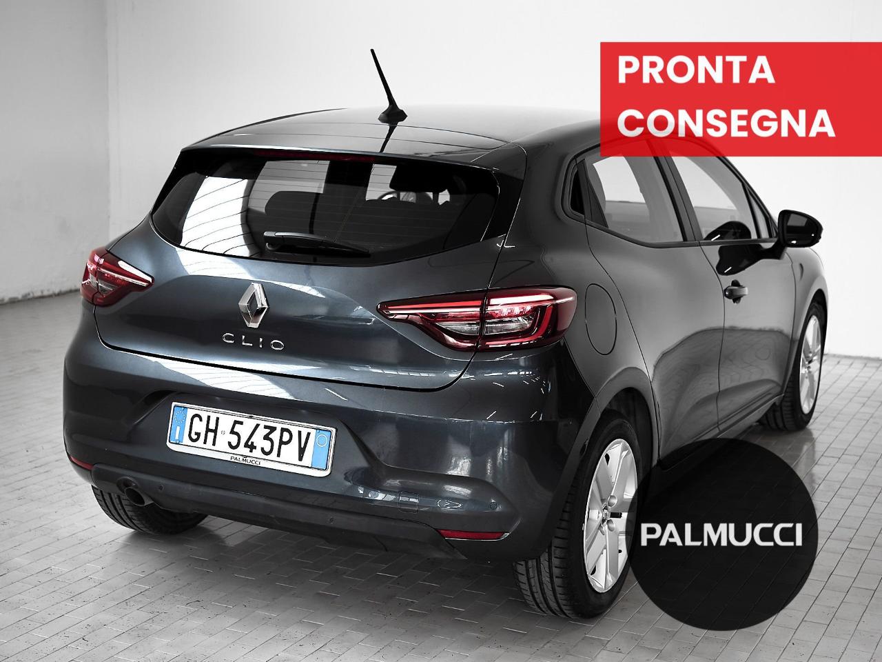Renault Renault Clio usata 14
