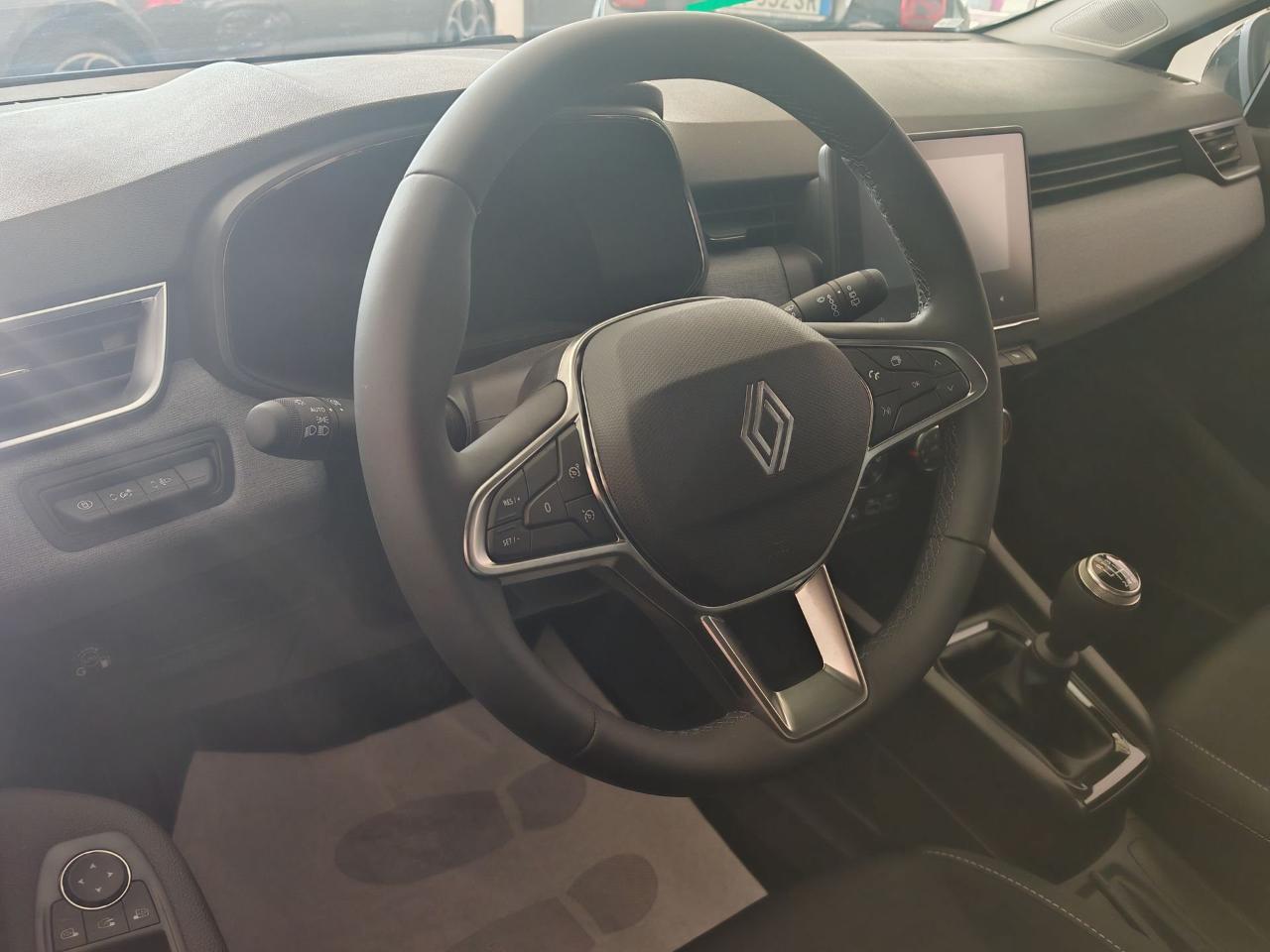 Renault Renault Clio usata 19