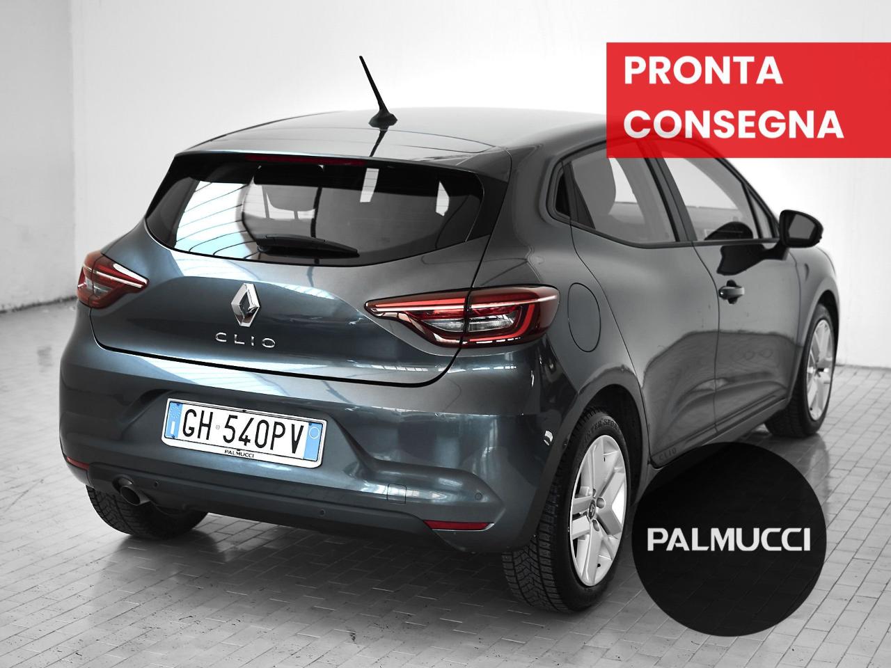 Renault Renault Clio usata 15