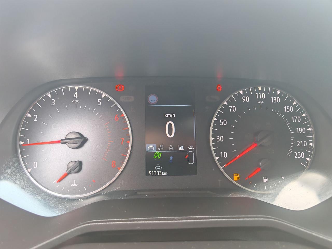 Renault Renault Clio usata 9
