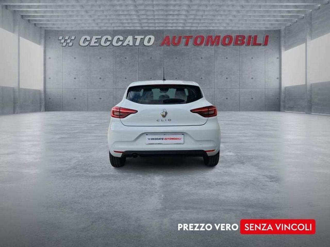 Renault Renault Clio usata 19