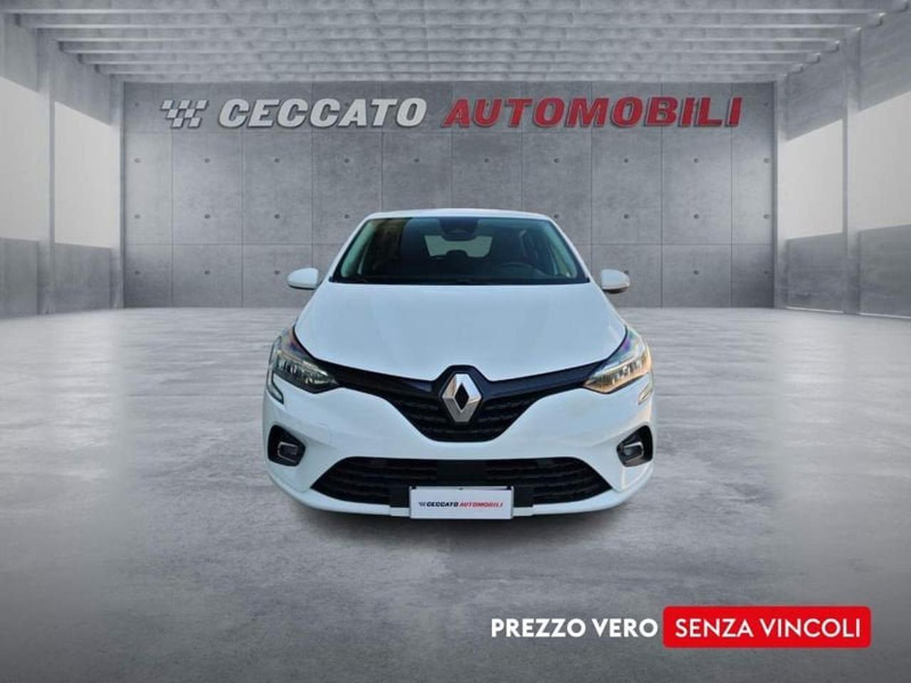 Renault Renault Clio usata 19
