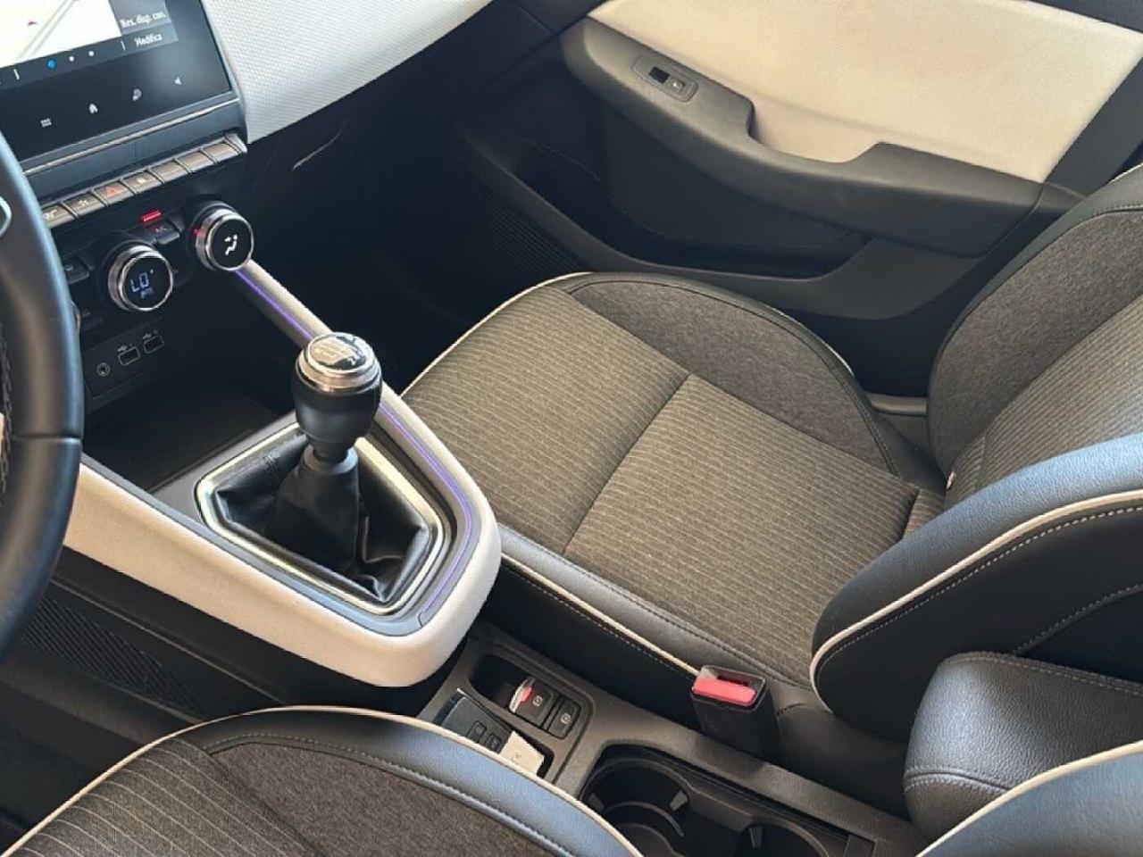 Renault Renault Clio usata 10
