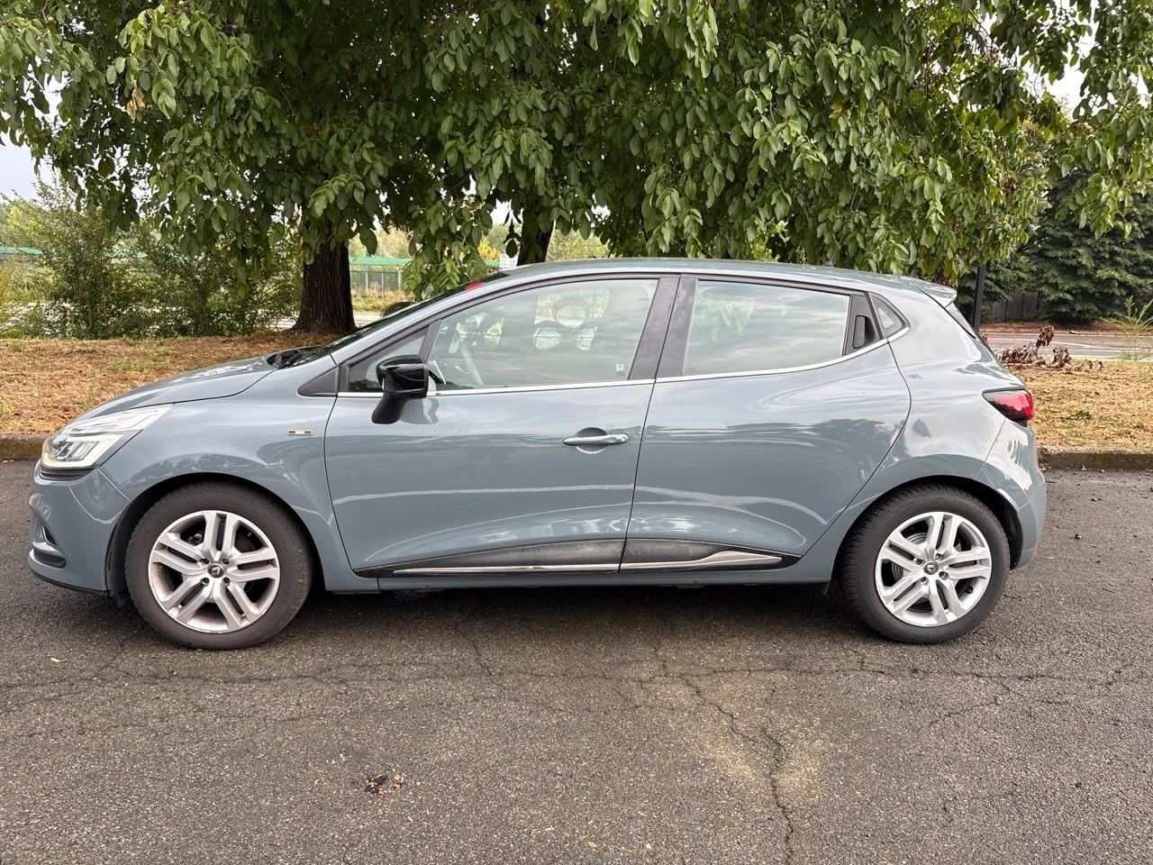 Renault Renault Clio usata 15