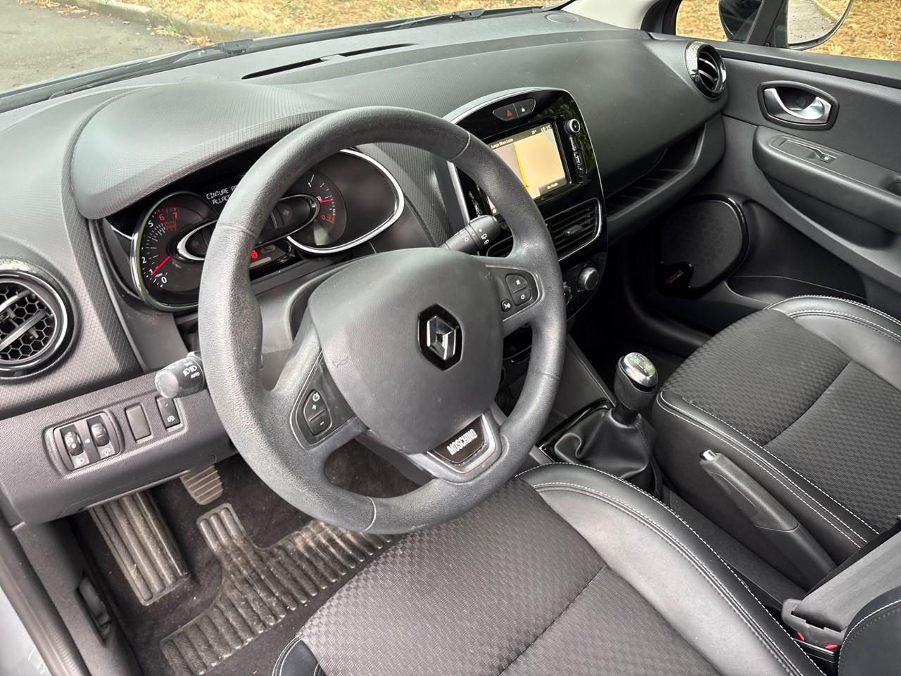 Renault Renault Clio usata 19