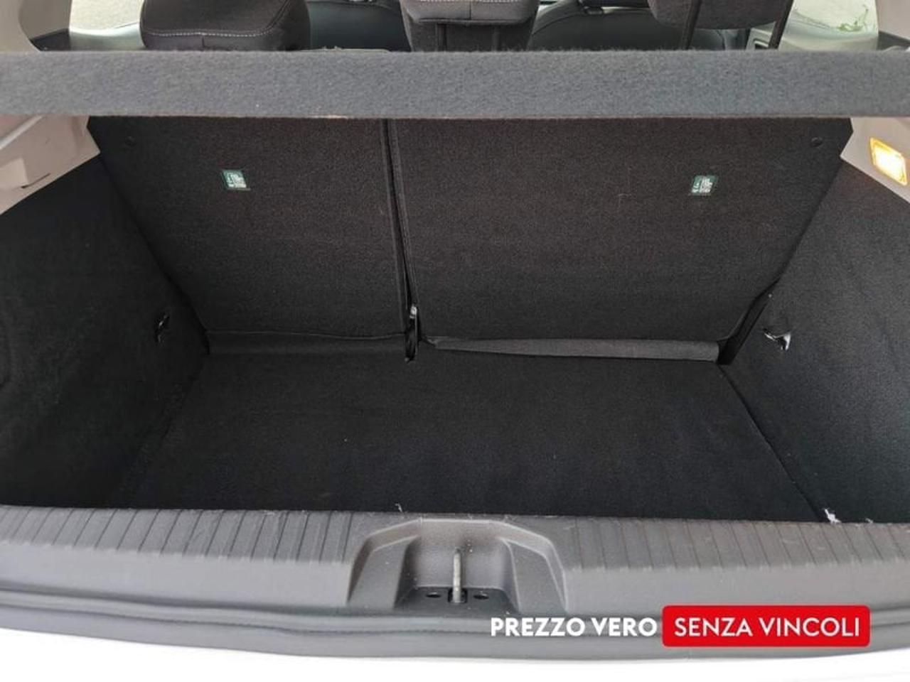Renault Renault Clio usata 6