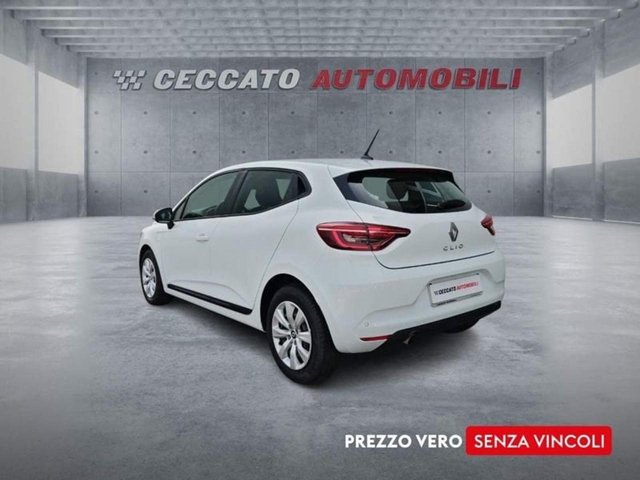Renault Renault Clio usata 19