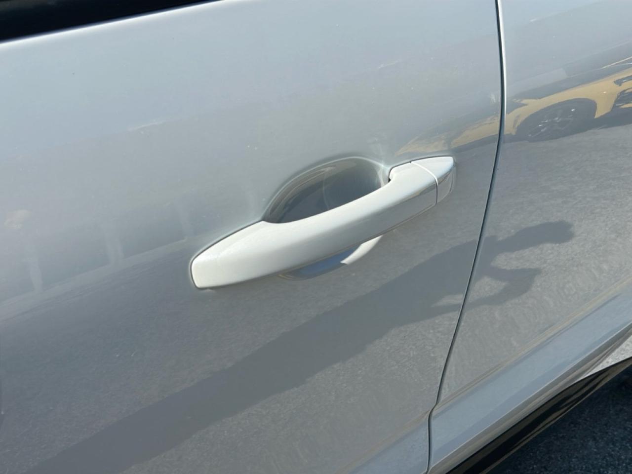 Renault Renault Clio usata 19