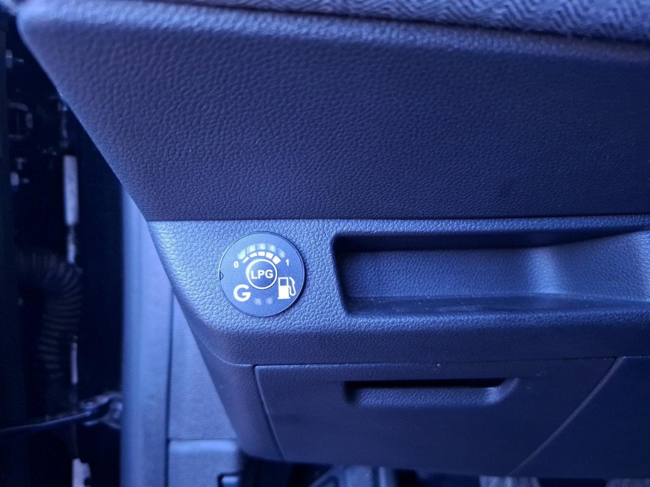 Renault Renault Clio usata 13