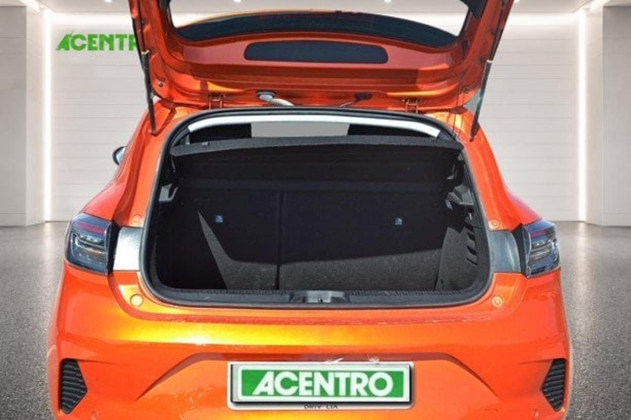 Renault Renault Clio usata 19