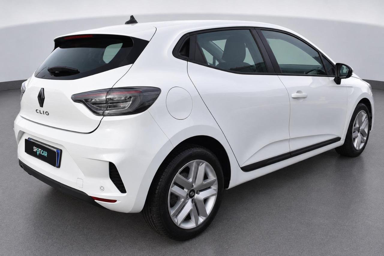 Renault Renault Clio usata 19