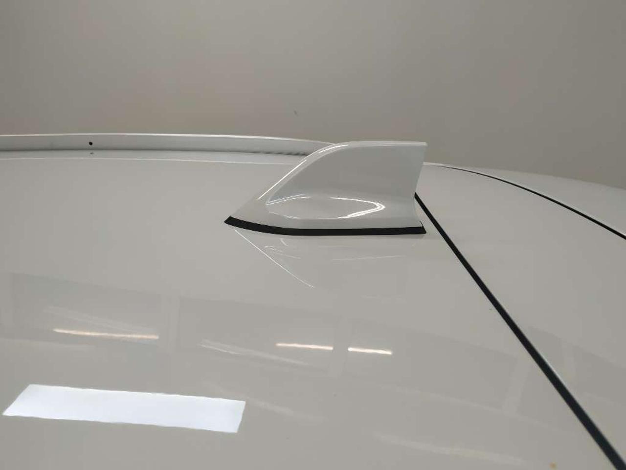 Renault Renault Kadjar usata 14