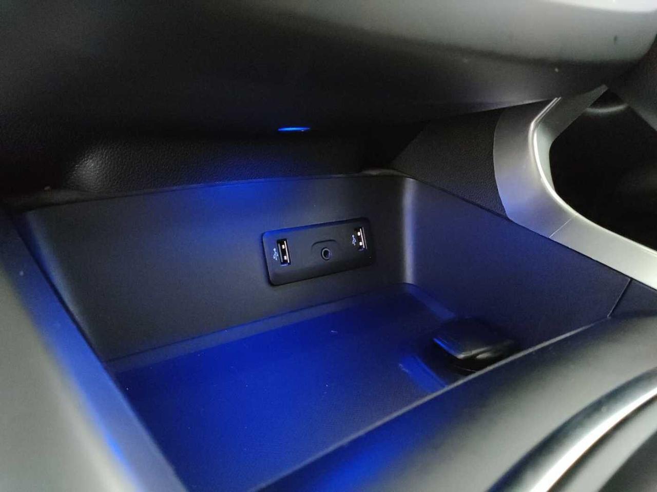 Renault Renault Kadjar usata, con chiusura centralizzata