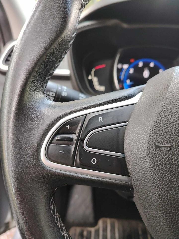 Renault Renault Kadjar usata 15