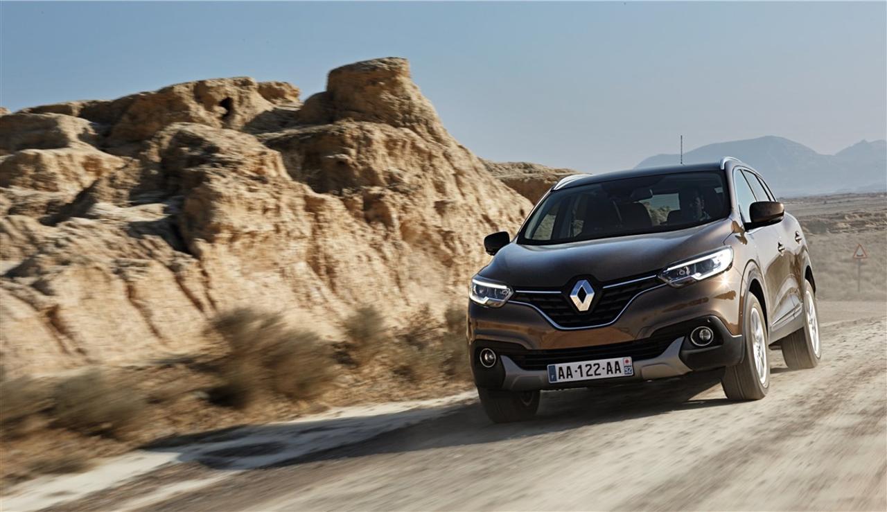 Renault Renault Kadjar usata 11