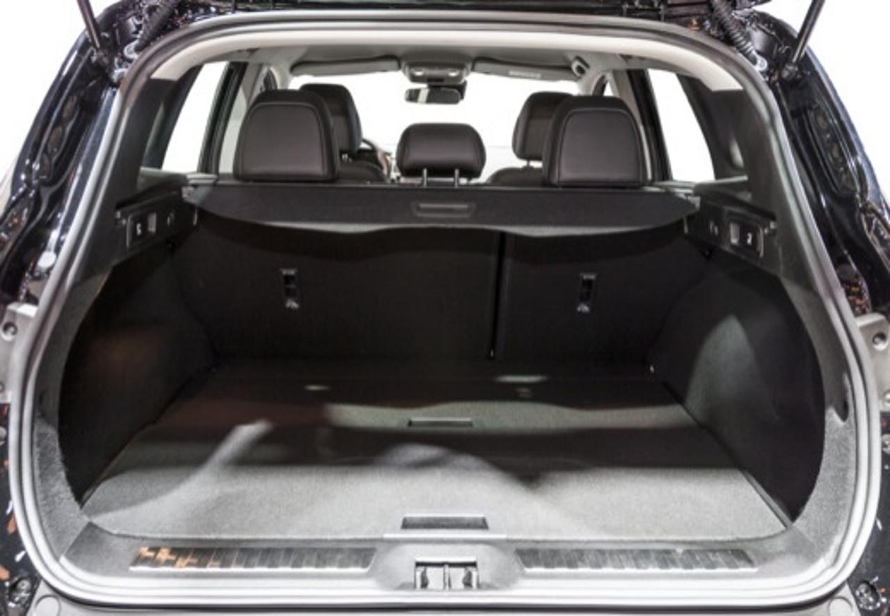 Renault Renault Kadjar usata 26