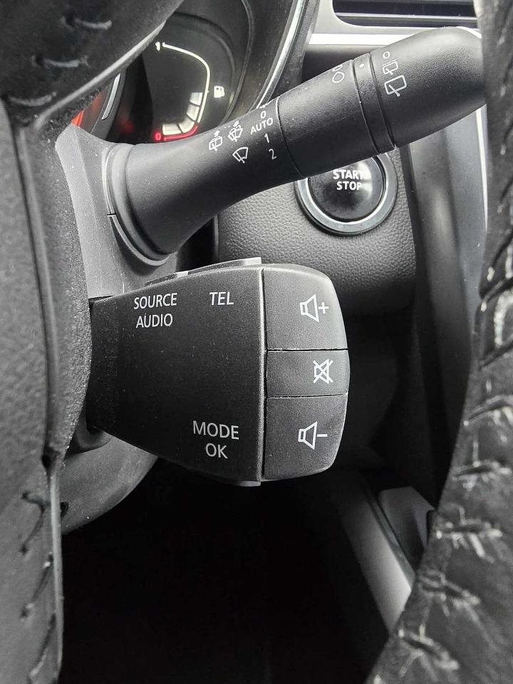 Renault Renault Kadjar usata 16