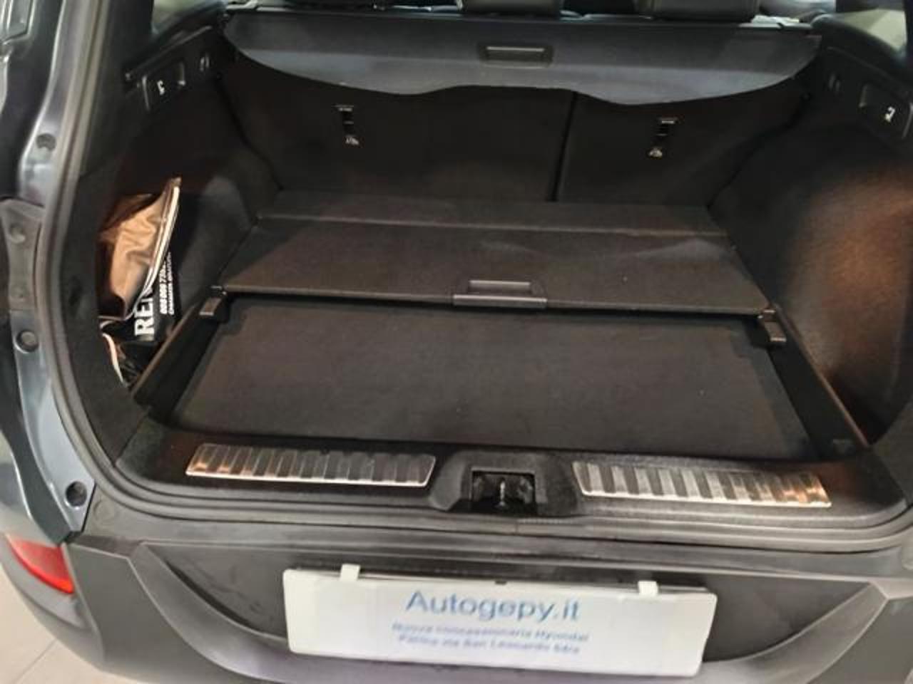 Renault Renault Kadjar usata 2