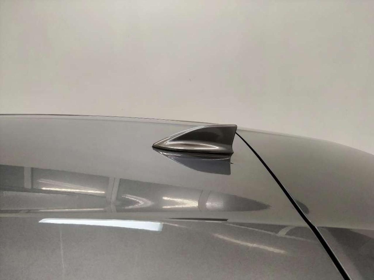 Renault Renault Megane usata 14