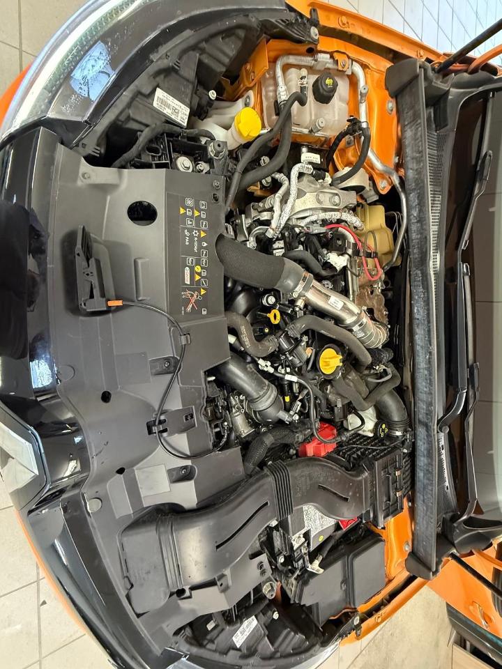 Renault Renault Megane usata 19